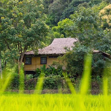 Hmong Hilltribe Lodge Мерім Екстер'єр фото