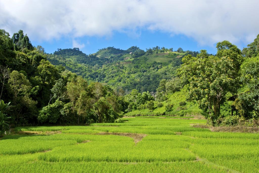Hmong Hilltribe Lodge Мерім Екстер'єр фото